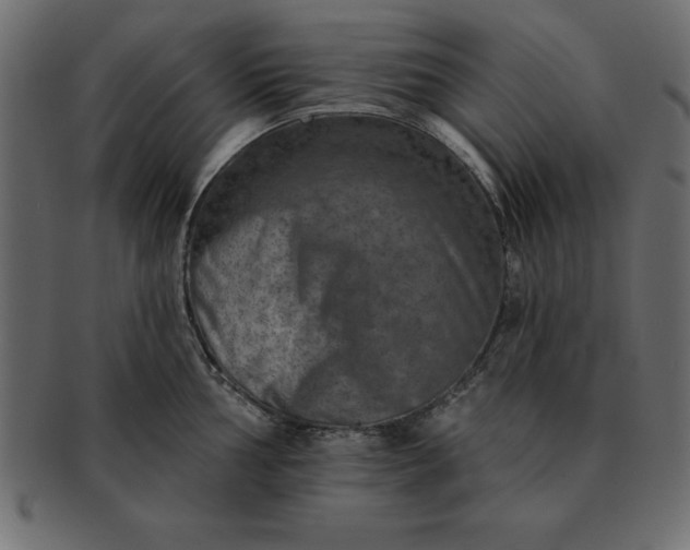 X0000091721002200709071432