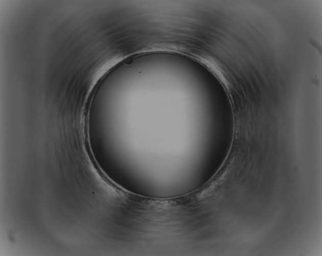 X0000091721003200709071431