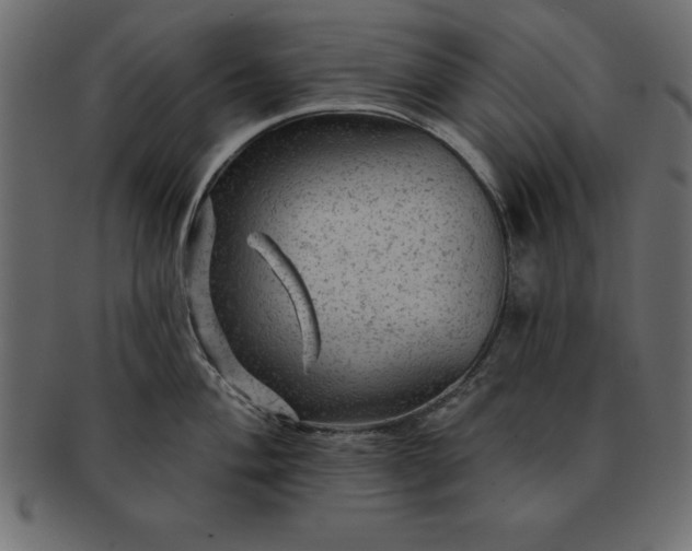 X0000091721004200709071431