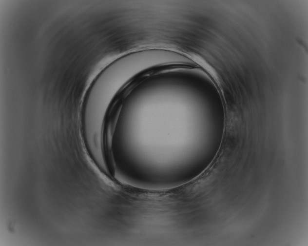 X0000091721005200709071431