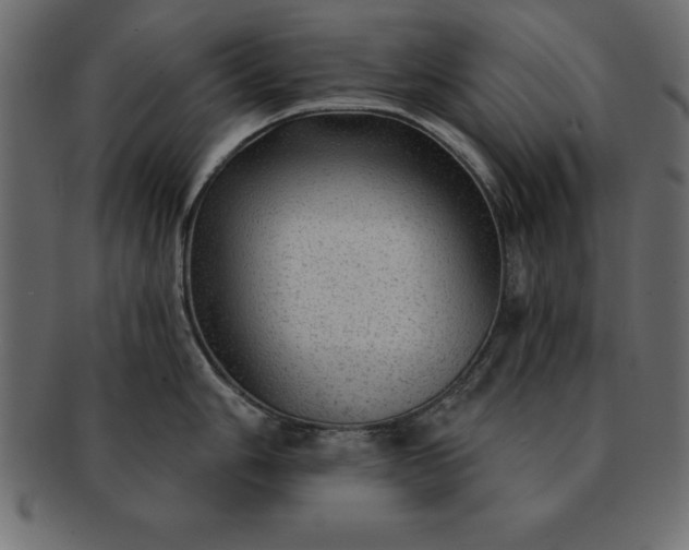 X0000091721006200709071431