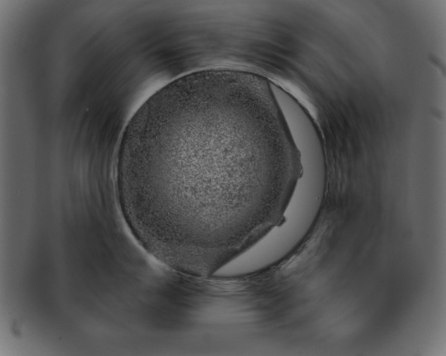 X0000091721007200709071431