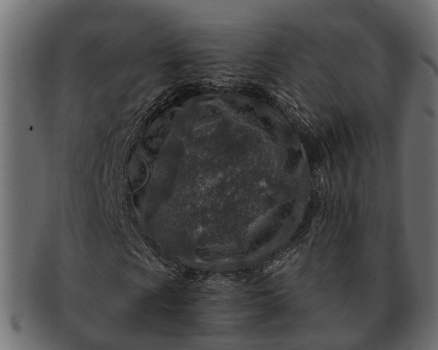 X0000091721009200709071431