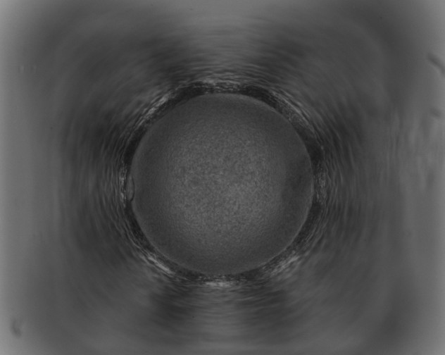 X0000091721010200709071431