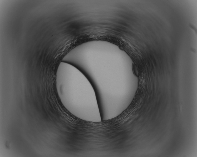 X0000091721012200709071431