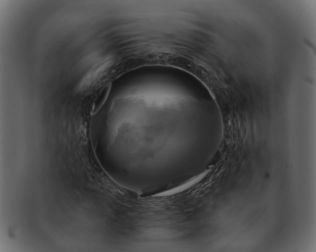 X0000091721013200709071431