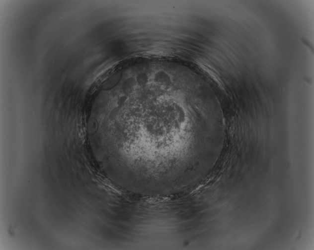 X0000091721015200709071431