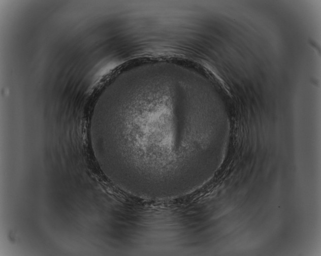 X0000091721016200709071431