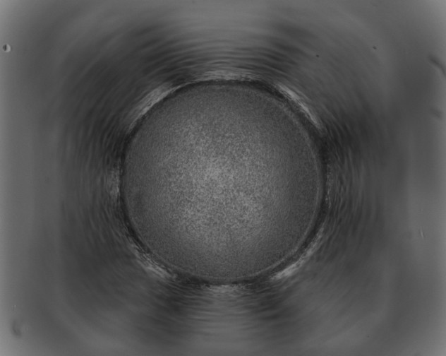 X0000091721017200709071431