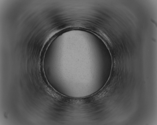 X0000091721020200709071431