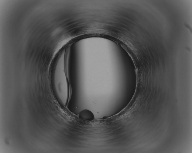 X0000091721022200709071431