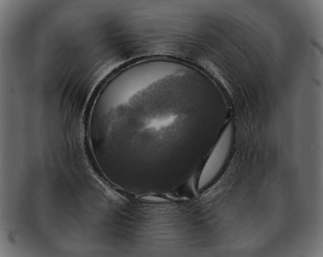 X0000091721024200709071431