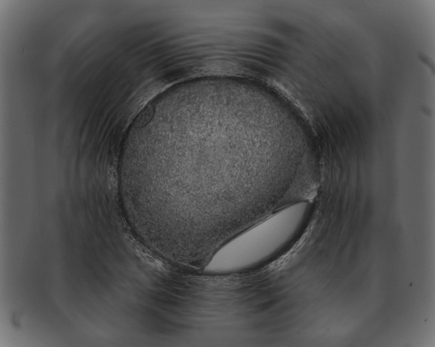 X0000091721025200709071431