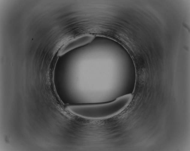 X0000091721026200709071431