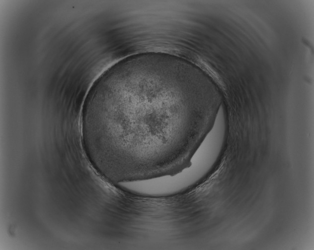 X0000091721028200709071431