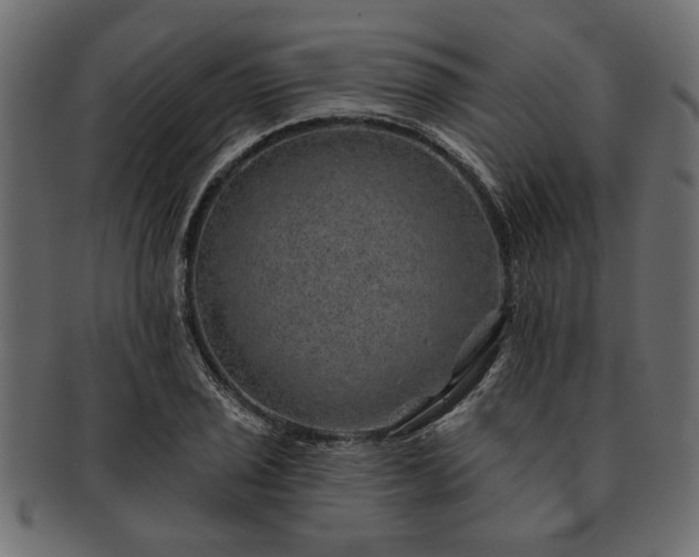 X0000091721029200709071431