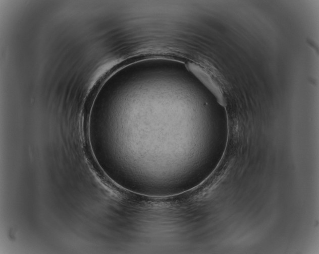 X0000091721030200709071431