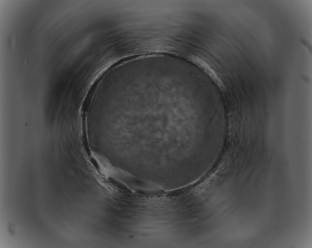 X0000091721031200709071431