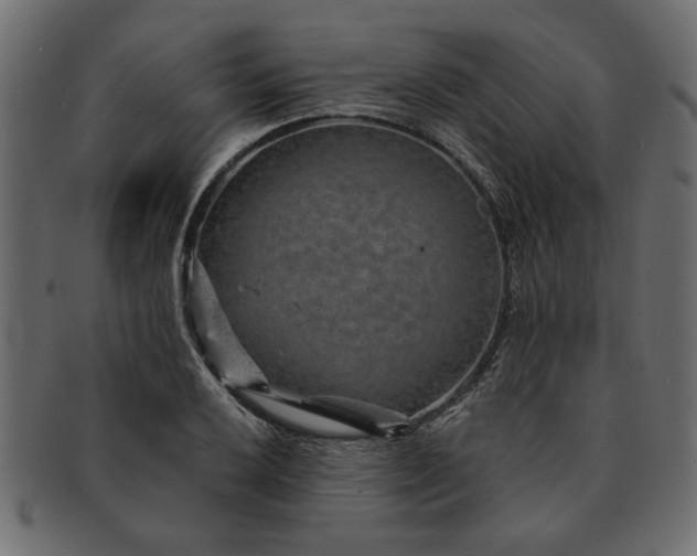 X0000091721032200709071431