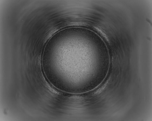 X0000091721033200709071431