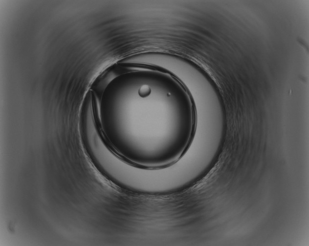 X0000091721034200709071431