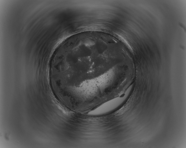 X0000091721035200709071431