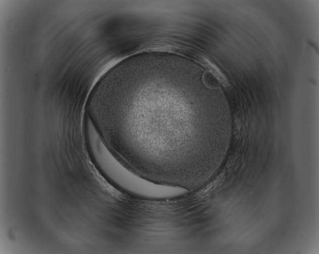 X0000091721036200709071431