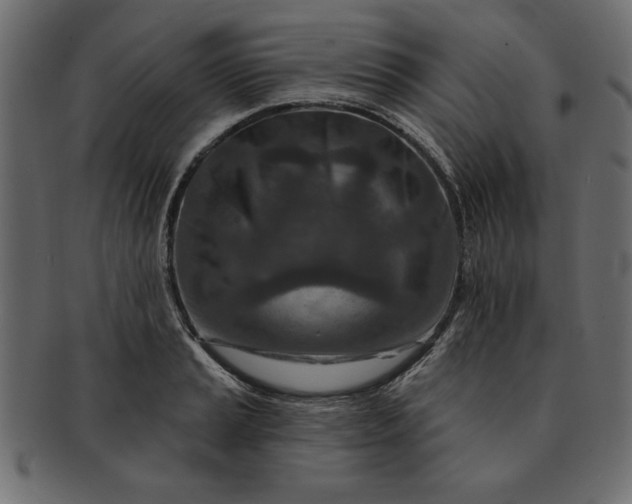 X0000091721037200709071431