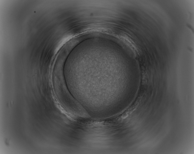 X0000091721038200709071431