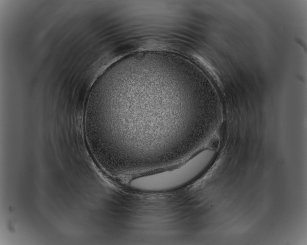 X0000091721041200709071431