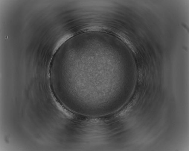 X0000091721042200709071431