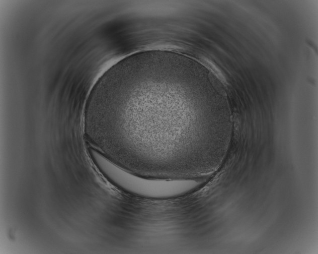 X0000091721044200709071431