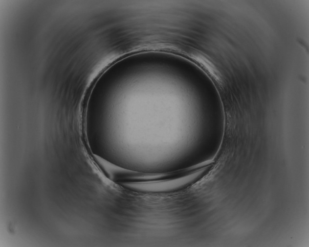 X0000091721046200709071431