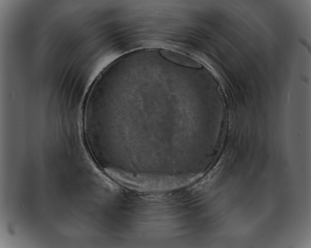 X0000091721048200709071431