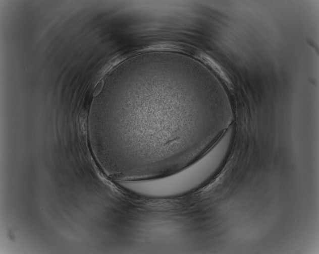 X0000091721049200709071431