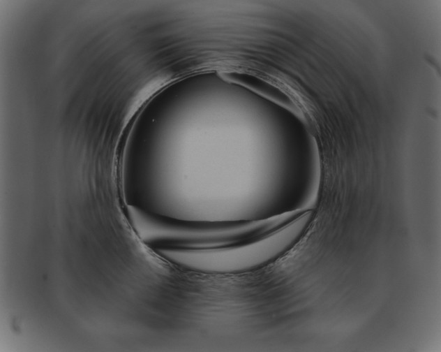 X0000091721050200709071431