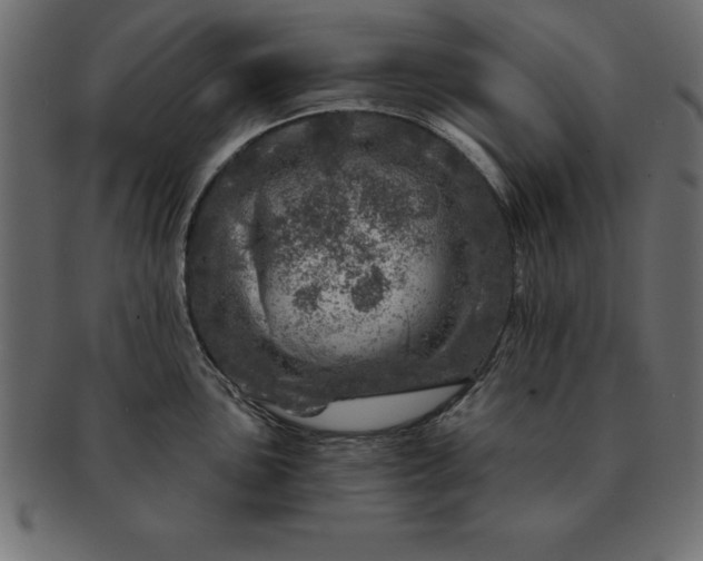 X0000091721051200709071431