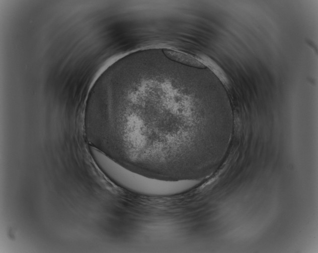 X0000091721052200709071431