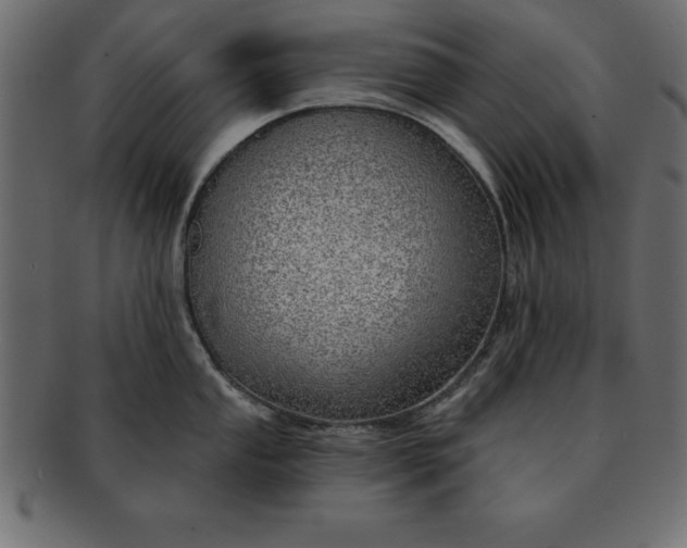 X0000091721053200709071431