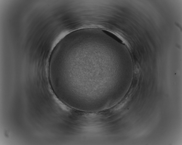 X0000091721054200709071431