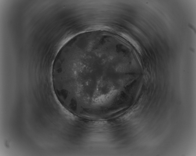 X0000091721055200709071431