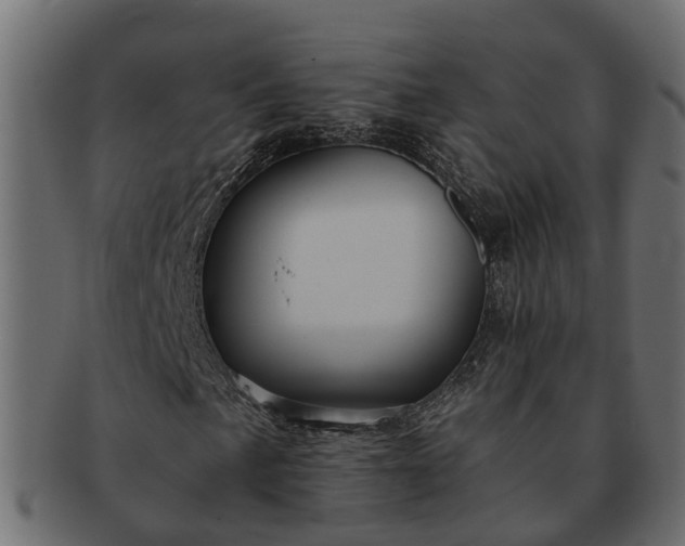 X0000091721057200709071431