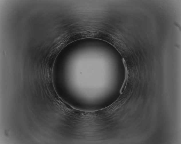 X0000091721058200709071431