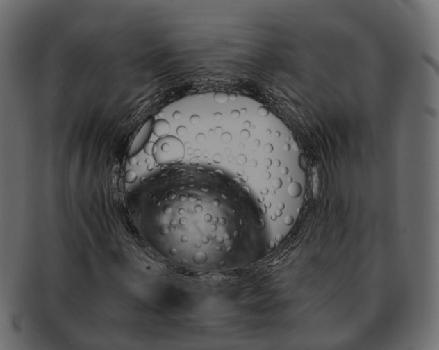 X0000091721059200709071431