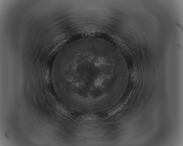 X0000091721060200709071431