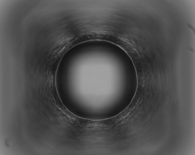 X0000091721061200709071431