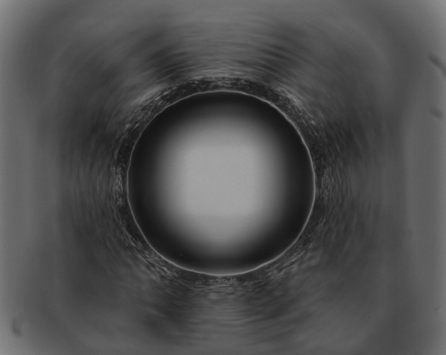 X0000091721062200709071431