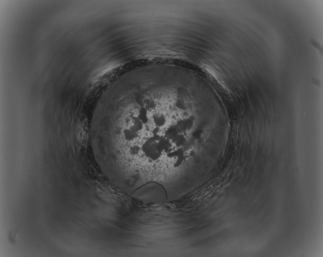 X0000091721063200709071431