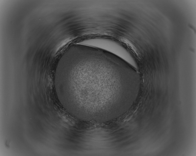 X0000091721064200709071431