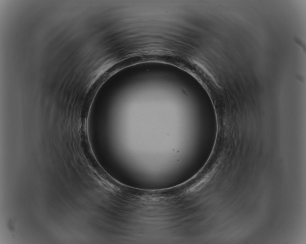 X0000091721065200709071431